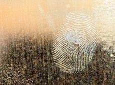 OnePlus 6 dolazi sa senzorom otiska prsta ispod ekrana