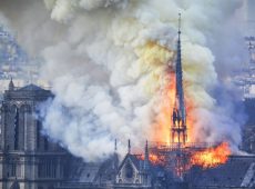 Apple se pridružio procesu obnove Notr Dama